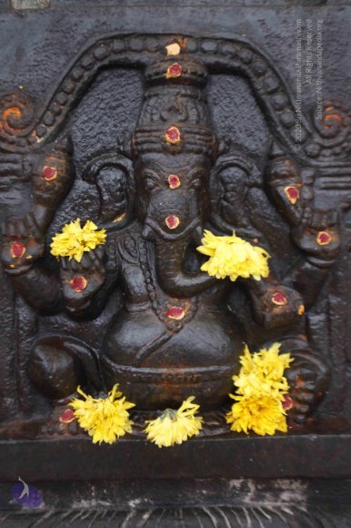 10-Temple_Photo_1013__MG_6998_CMP_WM