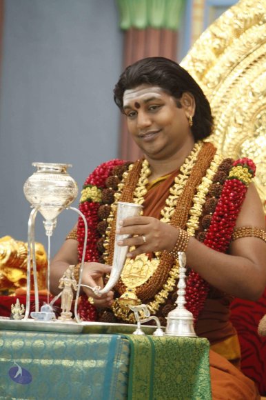 1-Rudrabhisekam-Swamiji_Photo_1021__MG_5918_CMP_WM