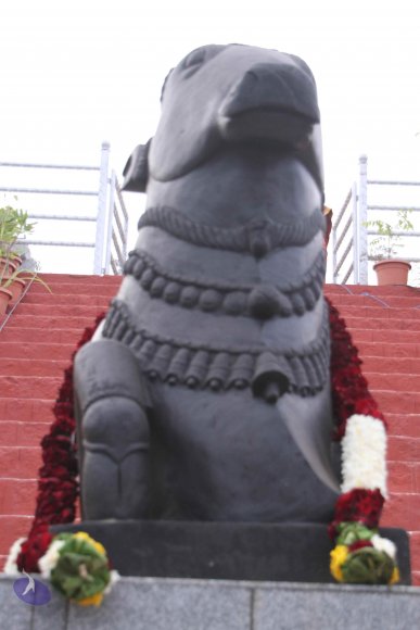 1-Rudrabhishekam_Photo_1017_IMG_7537_CMP_WM