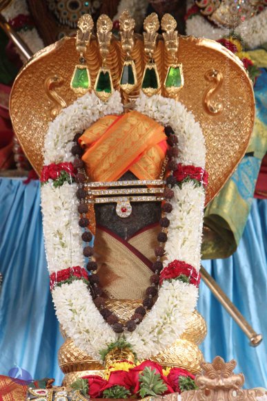 4-Temple_Photo_1008_IMG_7706_CMP_WM