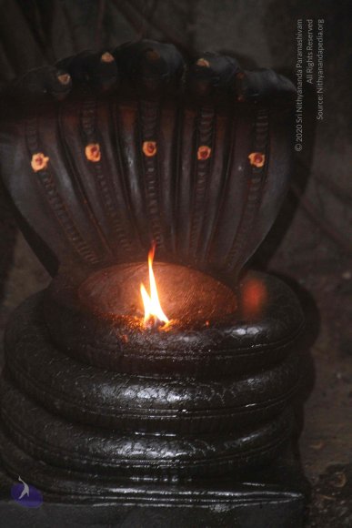 4-Temple_Photo_1014_IMG_7717_CMP_WM