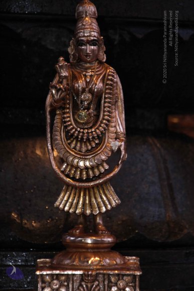 20130626_Photo_1002_IMG_7972_CMP_WM