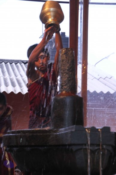 20130626_Photo_1005_IMG_7998_CMP_WM