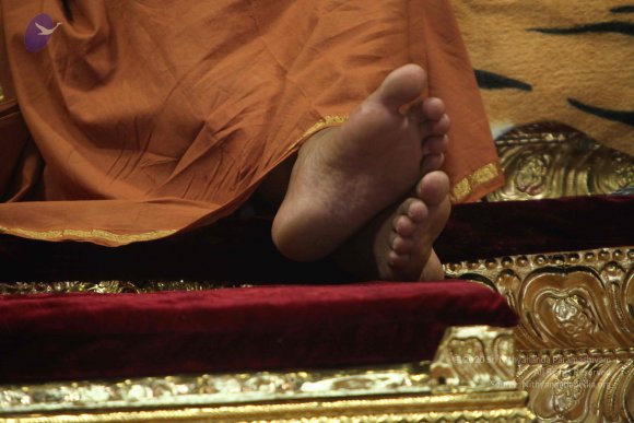 20130304_Photo_1008_IMG_4583_CMP_WM