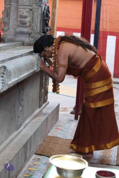 20130525_Photo_1005_IMG_9788_CMP_WM