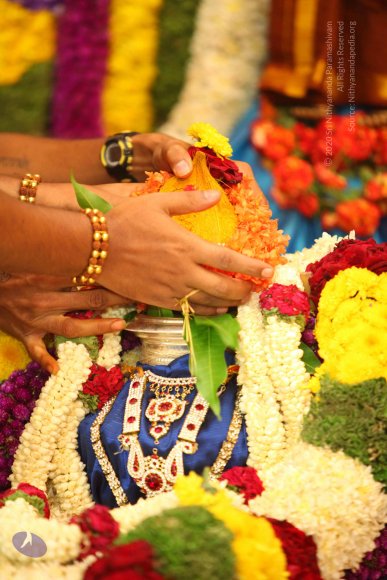 20130525_Photo_1022_IMG_9939_CMP_WM