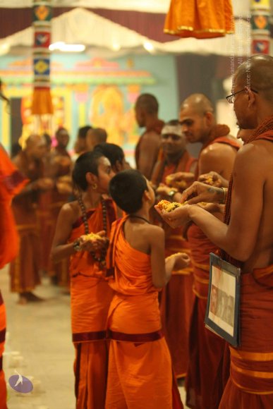 20130525_Photo_1010_IMG_0471_CMP_WM