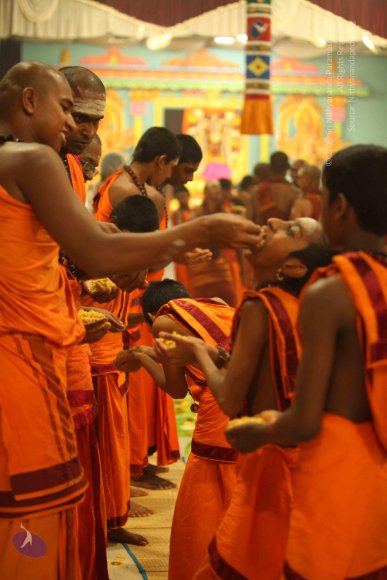 20130525_Photo_1023_IMG_0479_CMP_WM