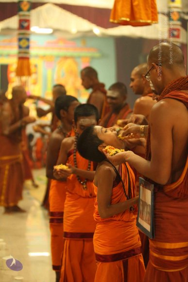 20130525_Photo_1055_IMG_0475_CMP_WM