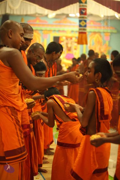 20130525_Photo_1060_IMG_0478_CMP_WM