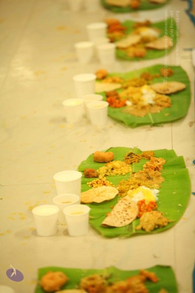 20130525_Photo_1093_IMG_0509_CMP_WM