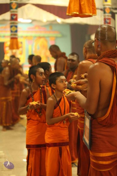 20130525_Photo_1099_IMG_0472_CMP_WM