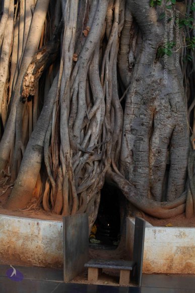 20130525_Photo_1021_1yQhq8-0P9Aa5eUWqhnCku6n5oYUPKkYz