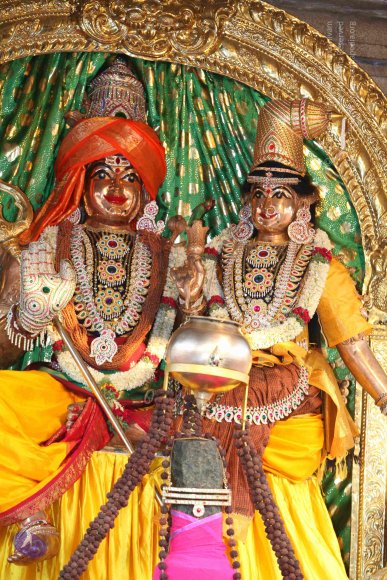 20130525_Photo_1026_1JTkvjsCodtQvxsaXjWMxJ5rQa9LgAFK4