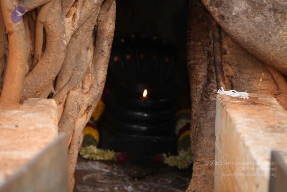 20130526_Photo_1011_1fJJ3ojUbEkaafZqJ5-8qQ4LVD7PB1pCH