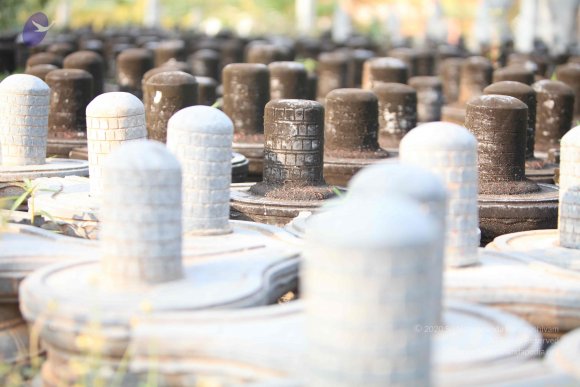 20130526_Photo_1002_1q0avVTrLtPp5lnnAVLPmOSJfqjWZ0fmp