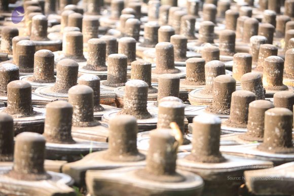 20130526_Photo_1004_1oWgjW3l82AFSPGn74giuHvwl8j2NjLcx