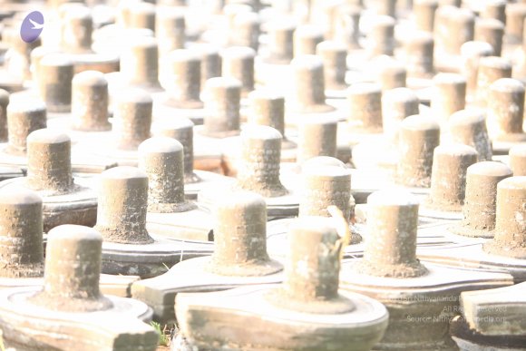 20130526_Photo_1005_1DfDea2Eu8FHwgBRgSaoh2sBwc7n9c1EN