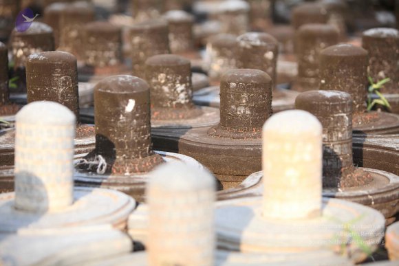 20130526_Photo_1006_1iuukObcF-ZrD_wHWk-GJXfWFKgu5nuvw