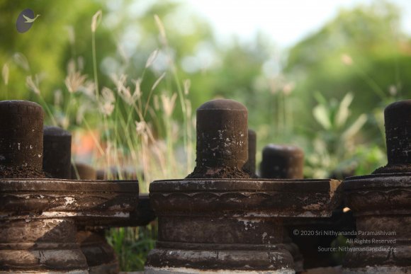 20130526_Photo_1007_1KeSQBdfaVYj7qlPmU6T_woJ6qtDIm0sm