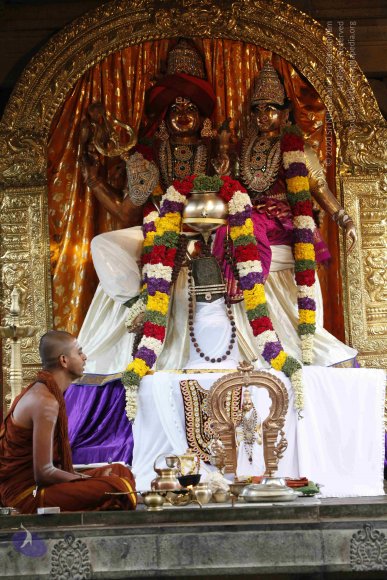 20130528_Photo_1002__MG_1496_CMP_WM