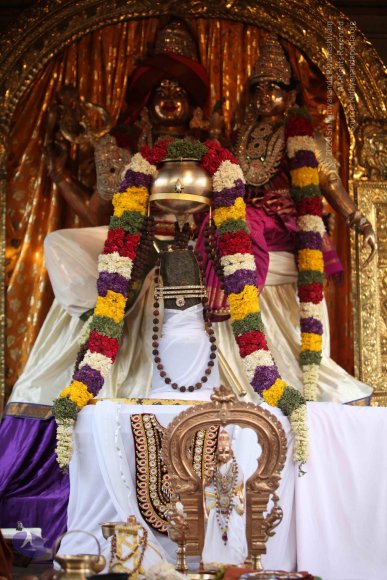 20130528_Photo_1005_IMG_1487_CMP_WM