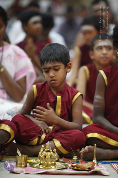 20130528_Photo_1012__MG_1519_CMP_WM