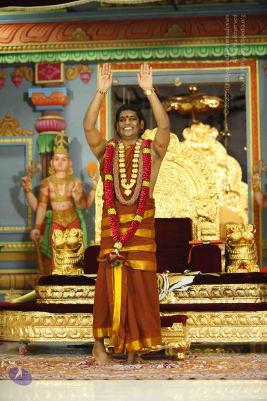 20130528_Photo_1000__MG_1774_CMP_WM