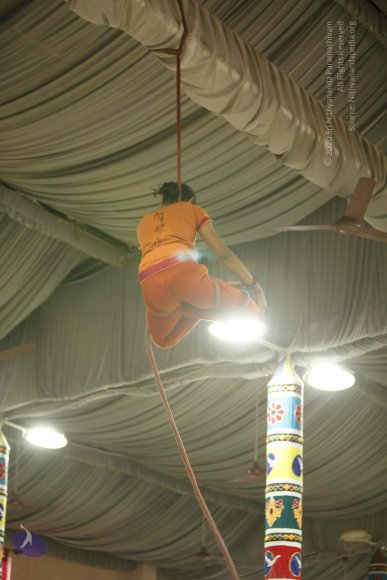 20130528_Photo_1002__MG_2480_CMP_WM