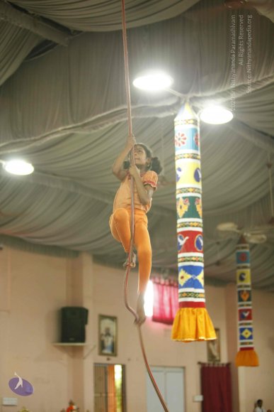 20130528_Photo_1020__MG_2391_CMP_WM