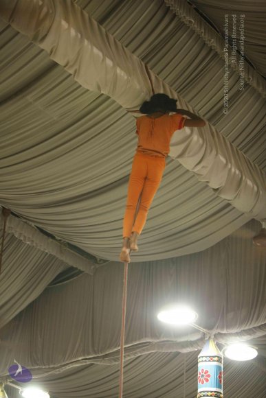 20130528_Photo_1060__MG_2393_CMP_WM