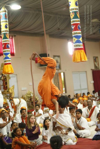 20130528_Photo_1117__MG_2467_CMP_WM