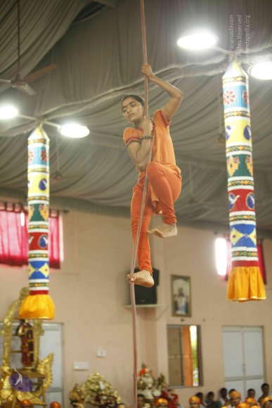 20130528_Photo_1133__MG_2473_CMP_WM