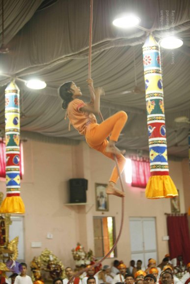 20130528_Photo_1142__MG_2390_CMP_WM