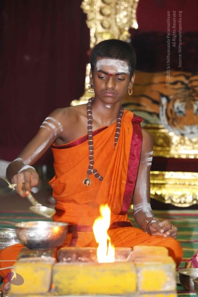 20130528_Photo_1003__MG_2643_CMP_WM