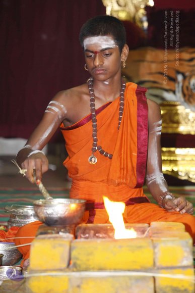 20130528_Photo_1007__MG_2642_CMP_WM