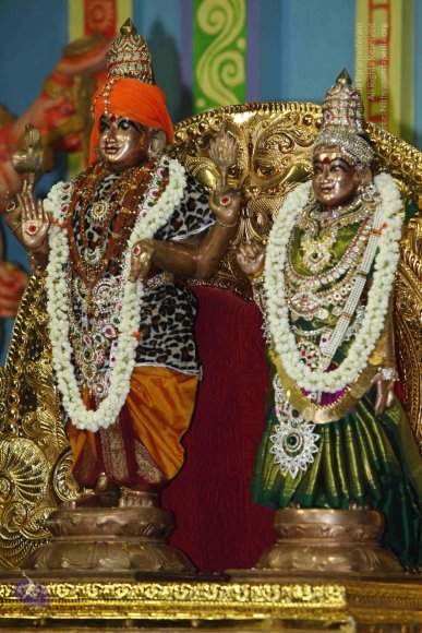 20130528_Photo_1013__MG_2659_CMP_WM