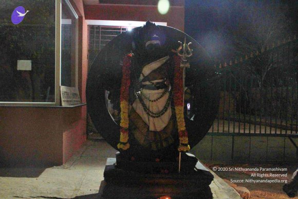 20130302_Photo_1036_IMG_3720_CMP_WM