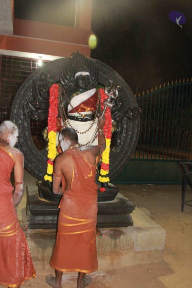 20130302_Photo_1043_IMG_3690_CMP_WM