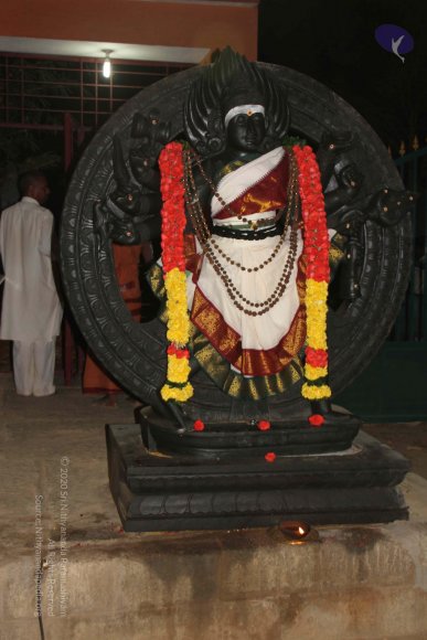 20130302_Photo_1046_IMG_3662_CMP_WM