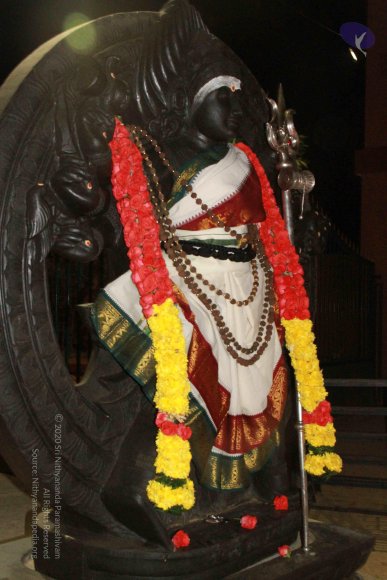 20130302_Photo_1051_IMG_3698_CMP_WM