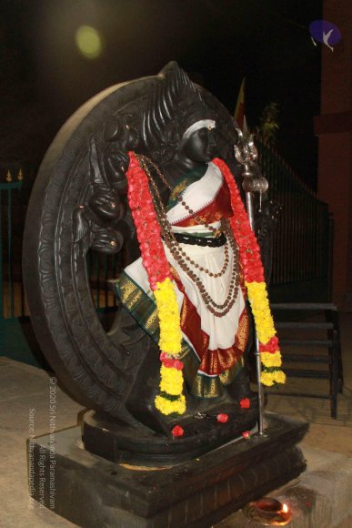 20130302_Photo_1070_IMG_3697_CMP_WM