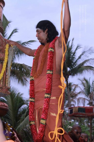 20130311_Photo_1018_IMG_8423_CMP_WM