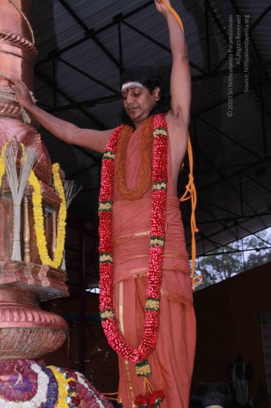 20130311_Photo_1020_IMG_8425_CMP_WM