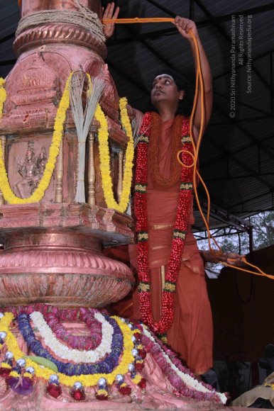 20130311_Photo_1021_IMG_8429_CMP_WM