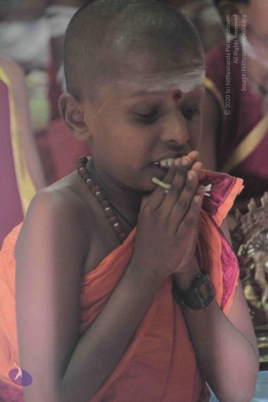 11-20130321_Photo_1023_1h6OsD8EgHhf49QiuxzSGCgBgWJZuazJw