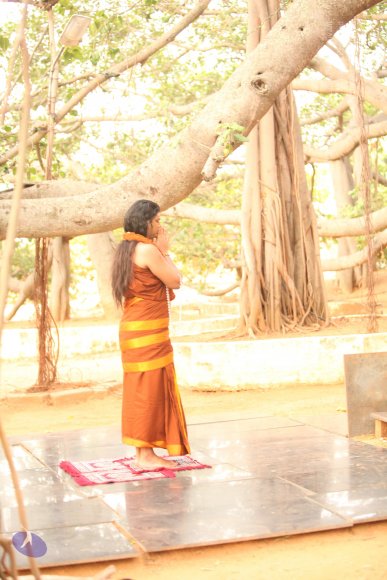 20130509_Photo_1021_IMG_2030_CMP_WM