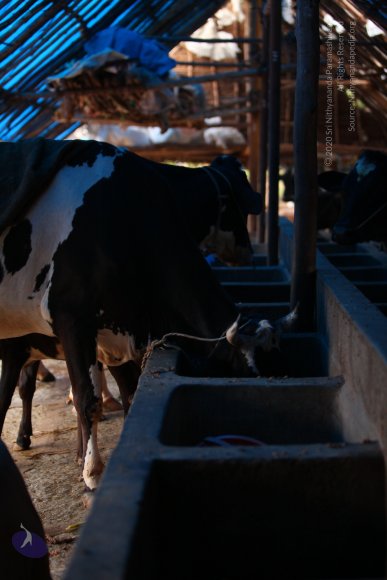 Inner-Awakening-May-2013_Photo_1026_IMG_6891_CMP_WM