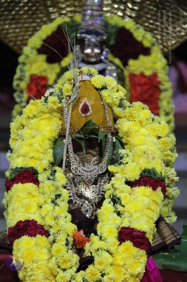 20131007_Photo_1002_IMG_3402_CMP_WM