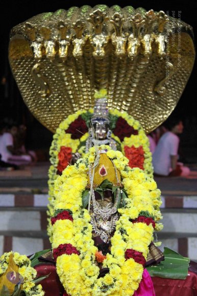 20131007_Photo_1010_IMG_3411_CMP_WM